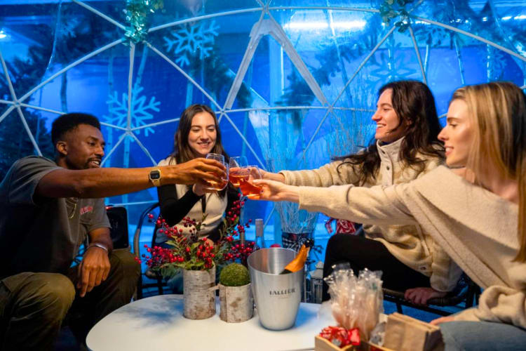 Four people cheersing drinks