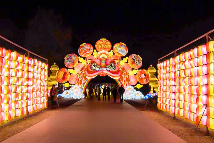 Christmas Things To Do in NYC Top 39 in 2024 Cozymeal