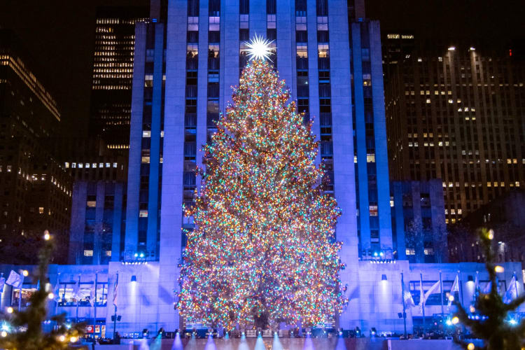 A large illuminated Christmas tree next to a skyscraper