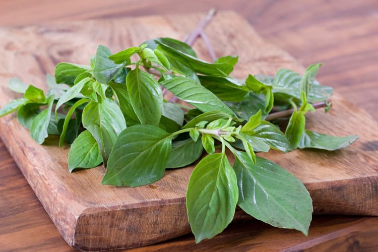 Thai basil on a wooden board