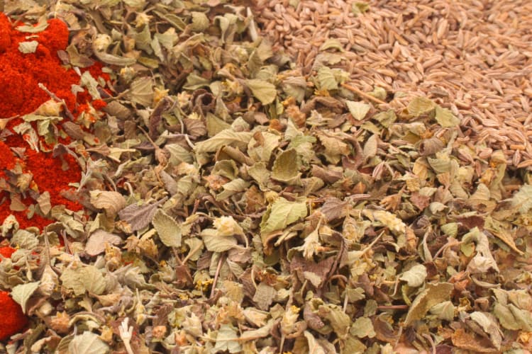Mexican oregano is an interesting cilantro substitute