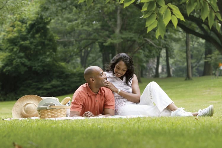 A couple having a picnic in the park