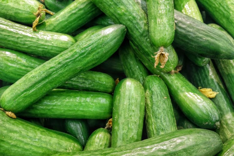 The cucumber recall has affected over 30 states