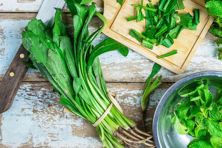 Whole culantro, chopped culantro and mint