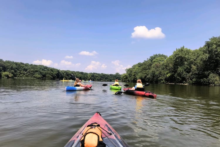 People kayaking on a river with trees on either side