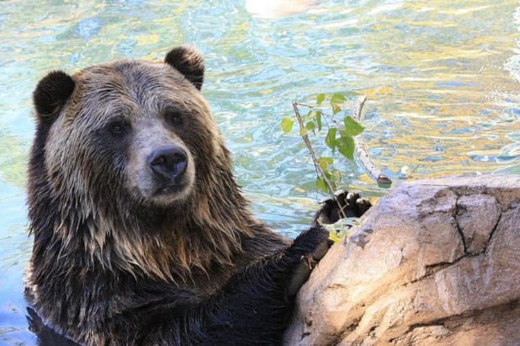 A trip to the zoo is one of the fun date ideas in Colorado Springs