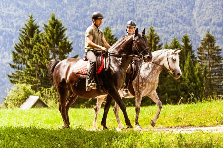 A couple riding horses in a green field
