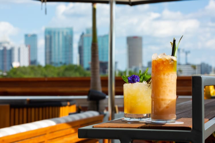 A couple of cocktails and a view at M. Bird 