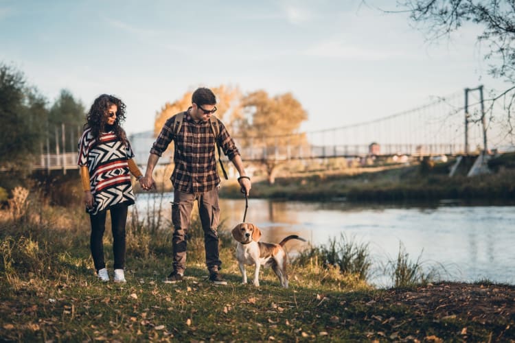 Taking a stroll along the river is an ideal date idea in Fort Collins 