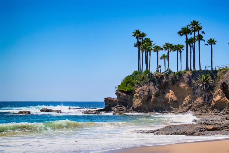 A beach with blue ocean and green palm trees on a clear day