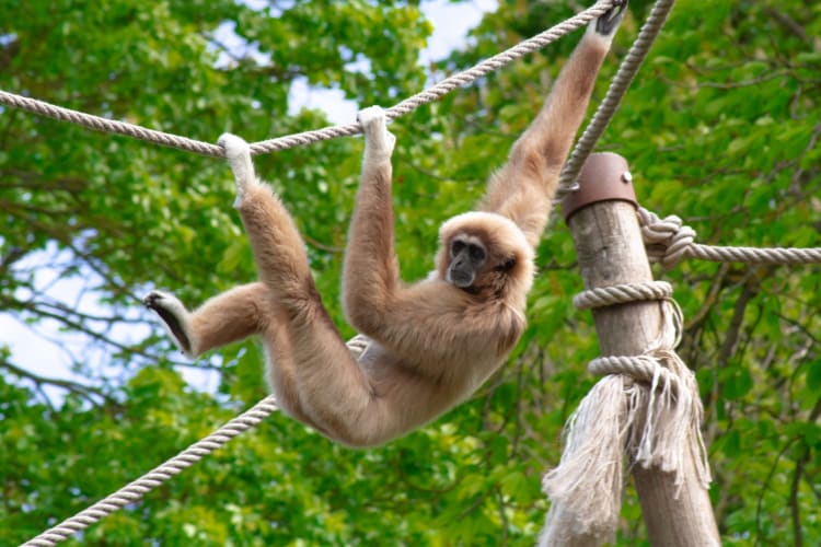 Going to the zoo is one of the cute date ideas in Orange County