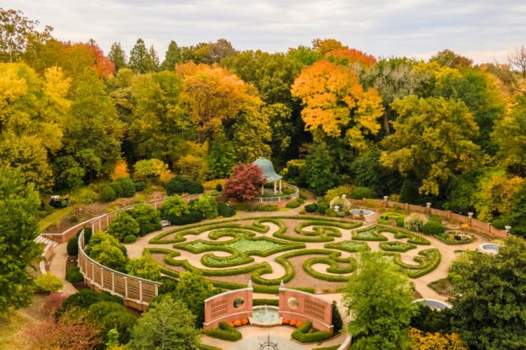 One of the scenic date ideas in St. Louis is visiting the botanical garden