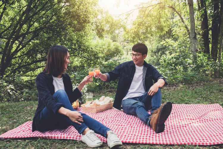 A picnic is one of the romantic date ideas in St. Louis