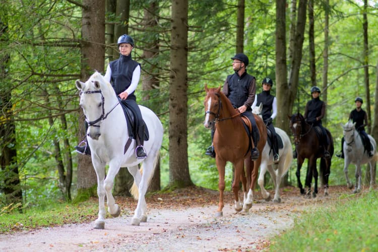 Horseback riding is one of the Denver birthday ideas for outdoor activity enthusiasts