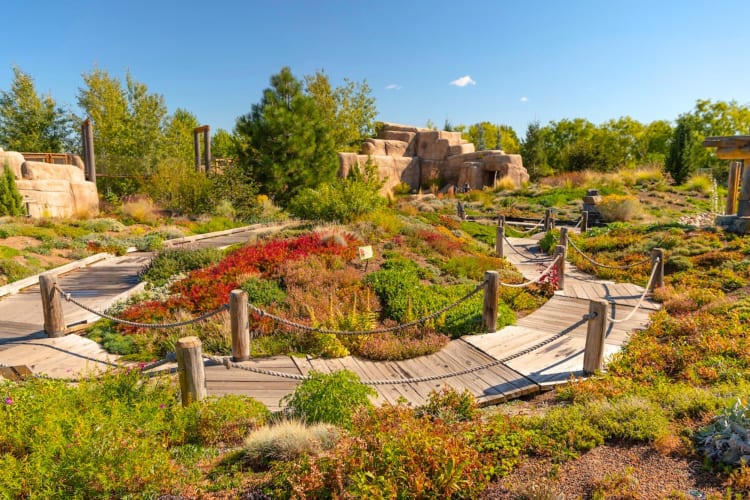 Visiting the Denver Botanic Garden is a great Denver birthday idea for all ages