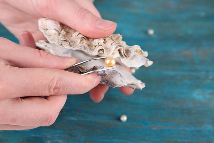 Close-up of a person's hand pulling a pearl from a clam shell with tweezers