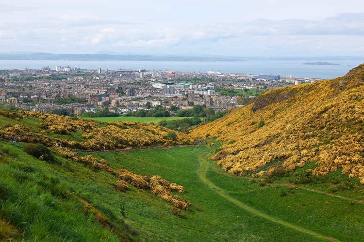 A green hill with a veiw of a city in the distance