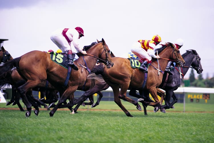 Going to a horse racing event is one of the unique date ideas in Edmonton