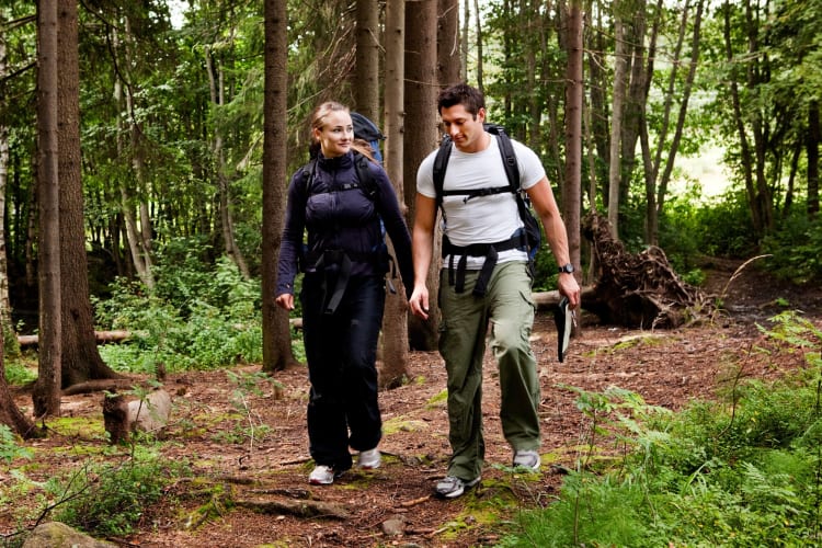 A couple walking in a forest