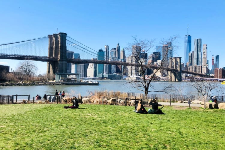 A park next to the water, a bridge and a city skyline