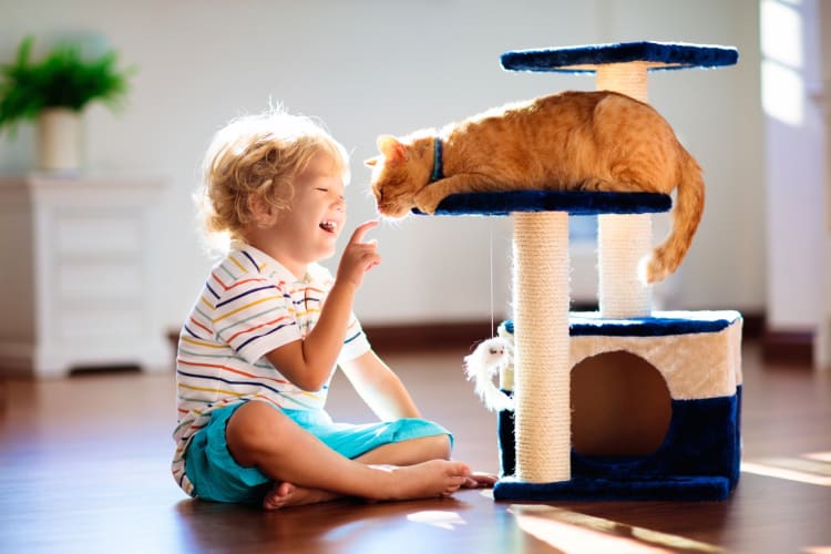 A child petting an orange cat on a cat tree