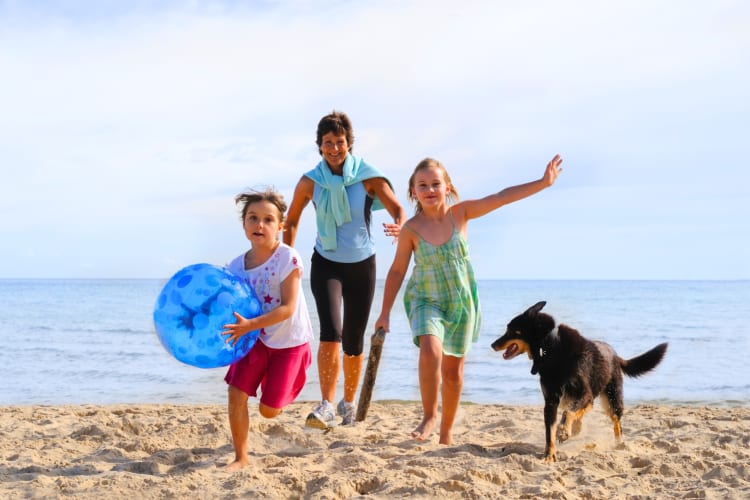 Two kids, an adult and a dog on a sandy beach