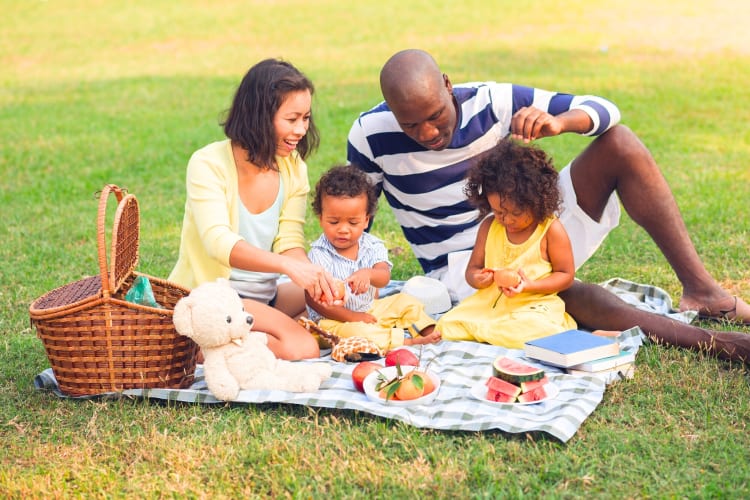 A family of four having a picnic on the grass
