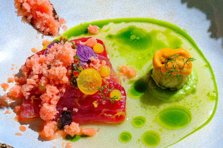 Tuna loin with cucumber ponzu and blood orange snow 