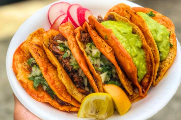Tacos on a plate with lemon slices
