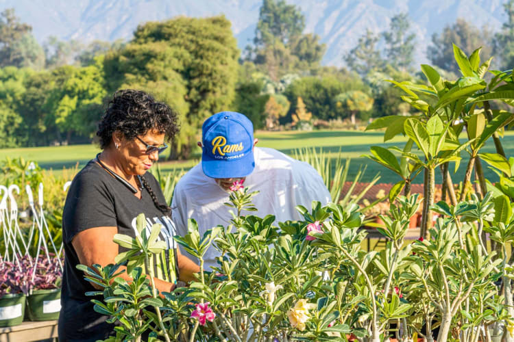 Visiting the Arboretum is a nice date idea in Los Angeles