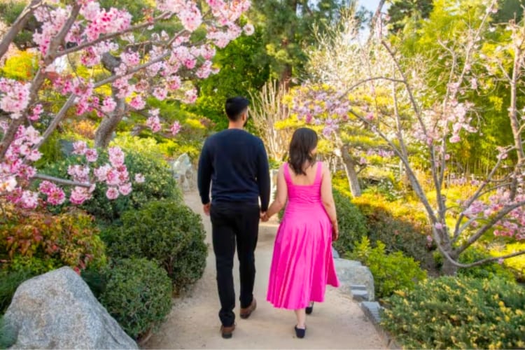 A couple walking in a garden with cherry blossom trees