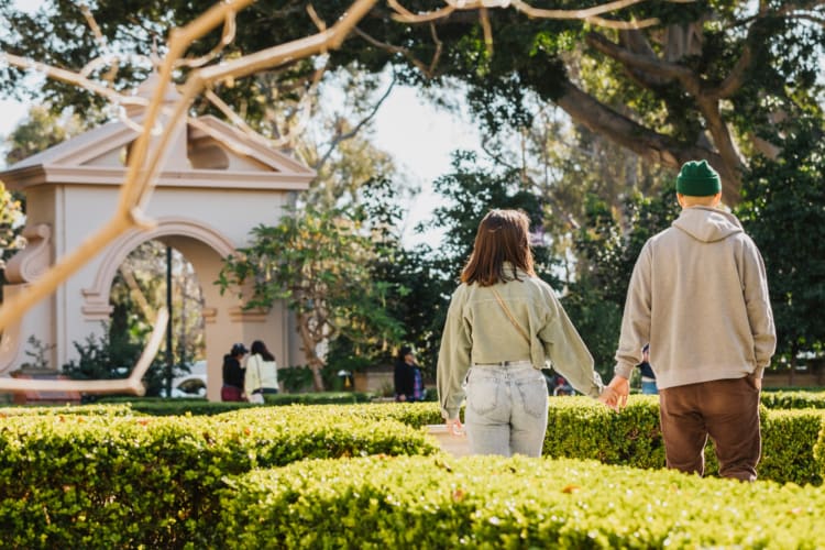 A couple holding hands in a park with greenery
