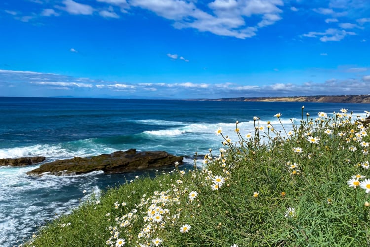 Going to La Jolla Cove is a fun and free date idea in San Diego