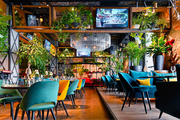 A colorful restaurant with greenery  