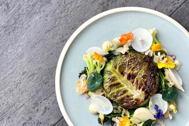 A plate with roasted cabbage surrounded by colorful vegetables