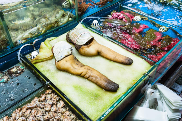 Two geoduck clams on a platform next to water tanks
