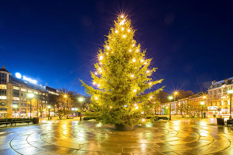 A large Christmas tree lit up in an outdoor city public area