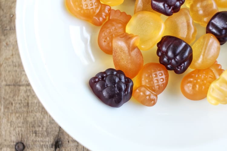 Fruit snacks in a bowl