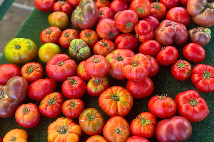 Fresh tomatoes from the Hillcrest Farmers Market