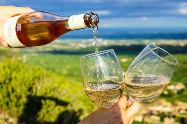 A person pouring white wine into glasses in a vineyard