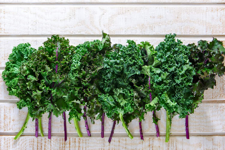 Aerial shot of kale leaves lined up in a row