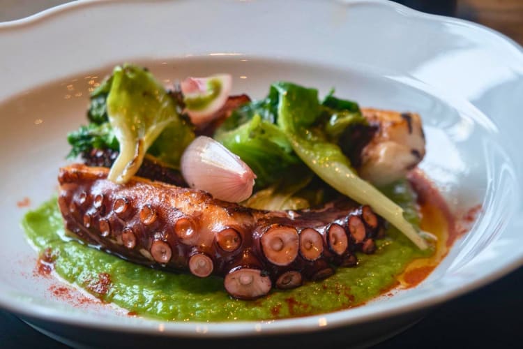 Go for the calamari alla griglia from an Italian restaurant in Toronto.