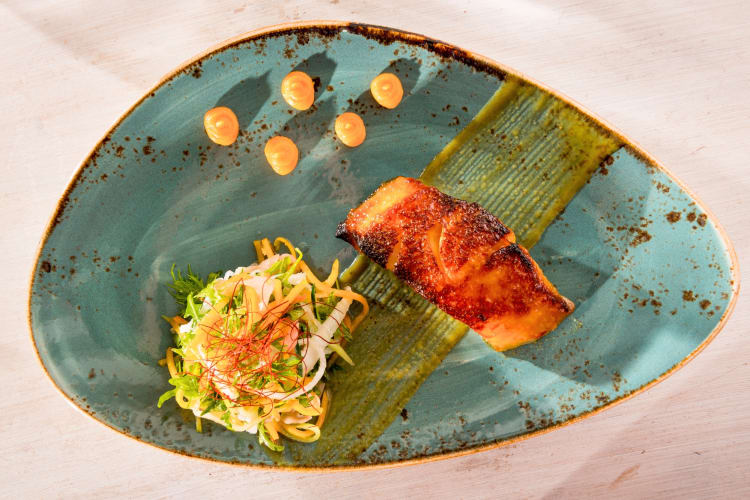 Miso black cod and salad on a turquoise plate