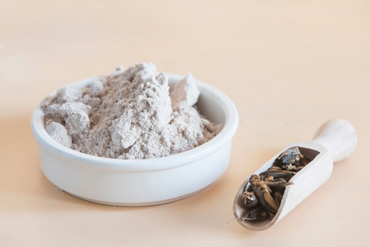 Cricket Flour in a bowl next to a scoop of crickets