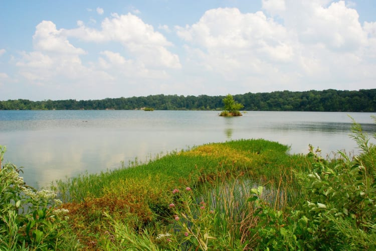 eagle creek reservoir 