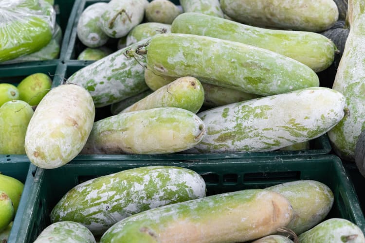 winter melons on display at a food market