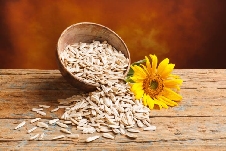 sunflower seed flour is an almond flour substitute