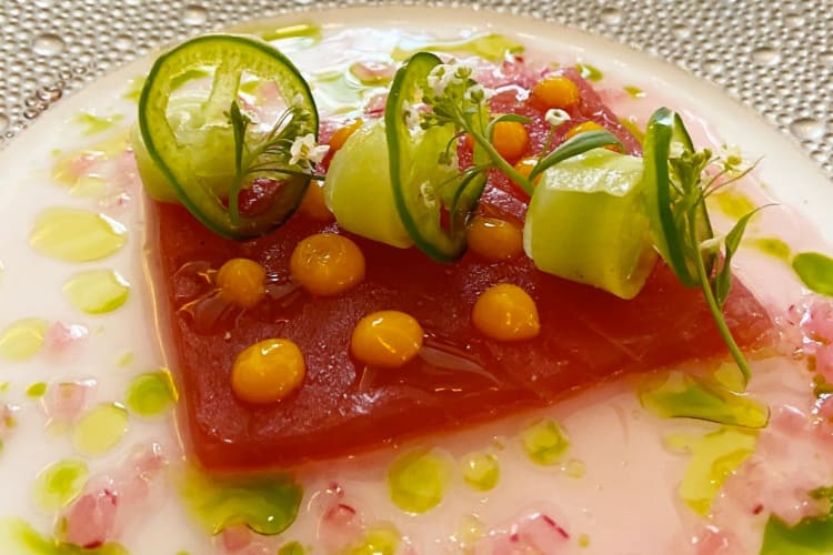 tuna dish