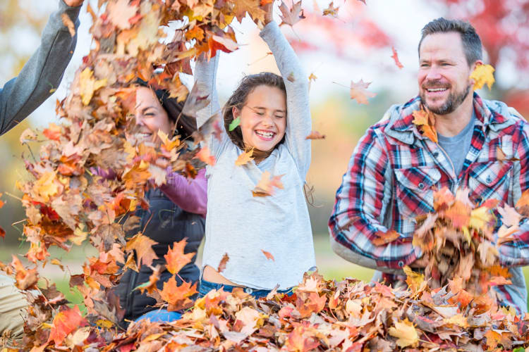 Close up of a family of three playing together in a heap of leaves