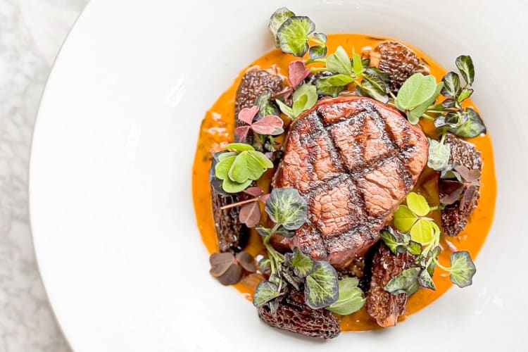 A steak dish with morel mushrooms on a plate